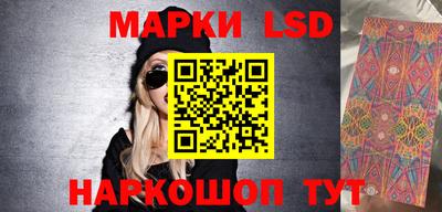 индика Новозыбков