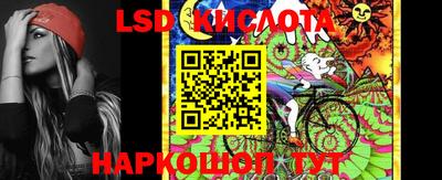 индика Новозыбков
