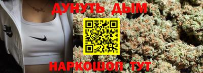 индика Новозыбков