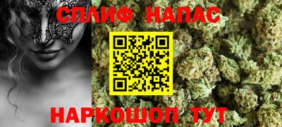 индика Новозыбков