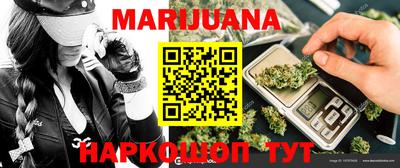 индика Новозыбков