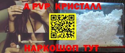 индика Новозыбков