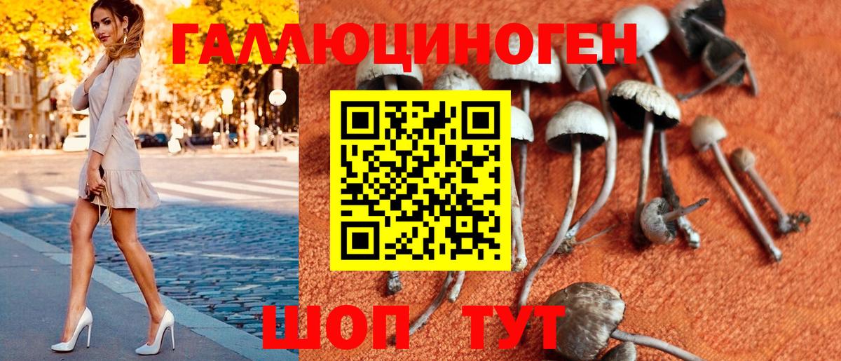 Галлюциногенные грибы мухоморы  Вход с VPN  Ялуторовск 